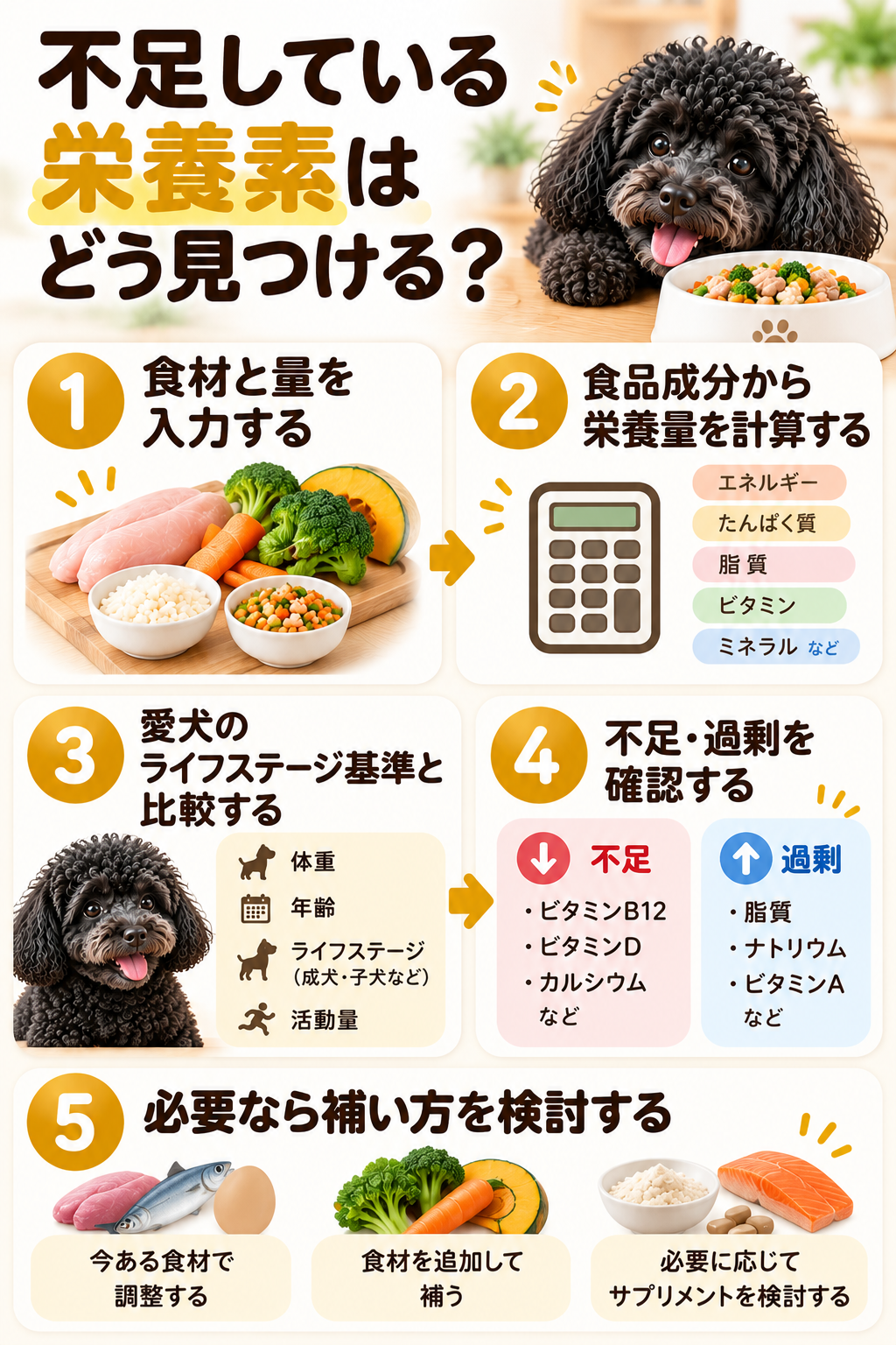 犬の手作りごはんで食材と量から栄養量を計算しライフステージ基準と比較して不足や過剰を確認する5ステップ