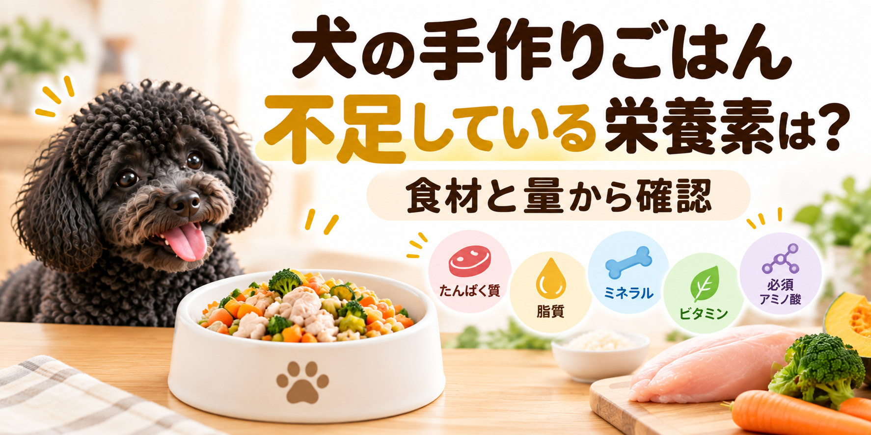 犬の手作りごはんで不足している栄養素を食材と量から確認する方法を解説する記事のアイキャッチ