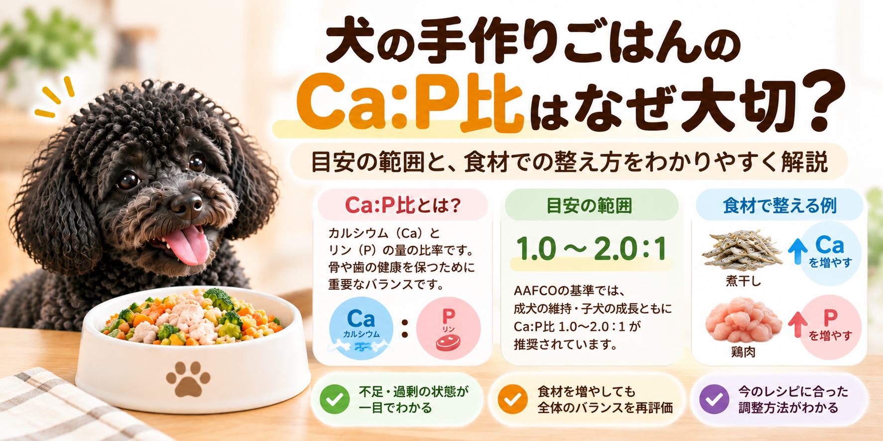 犬の手作りごはんのCa:P比について1対1から2対1の目安とカルシウム・リンを確認して調整する考え方を示す図