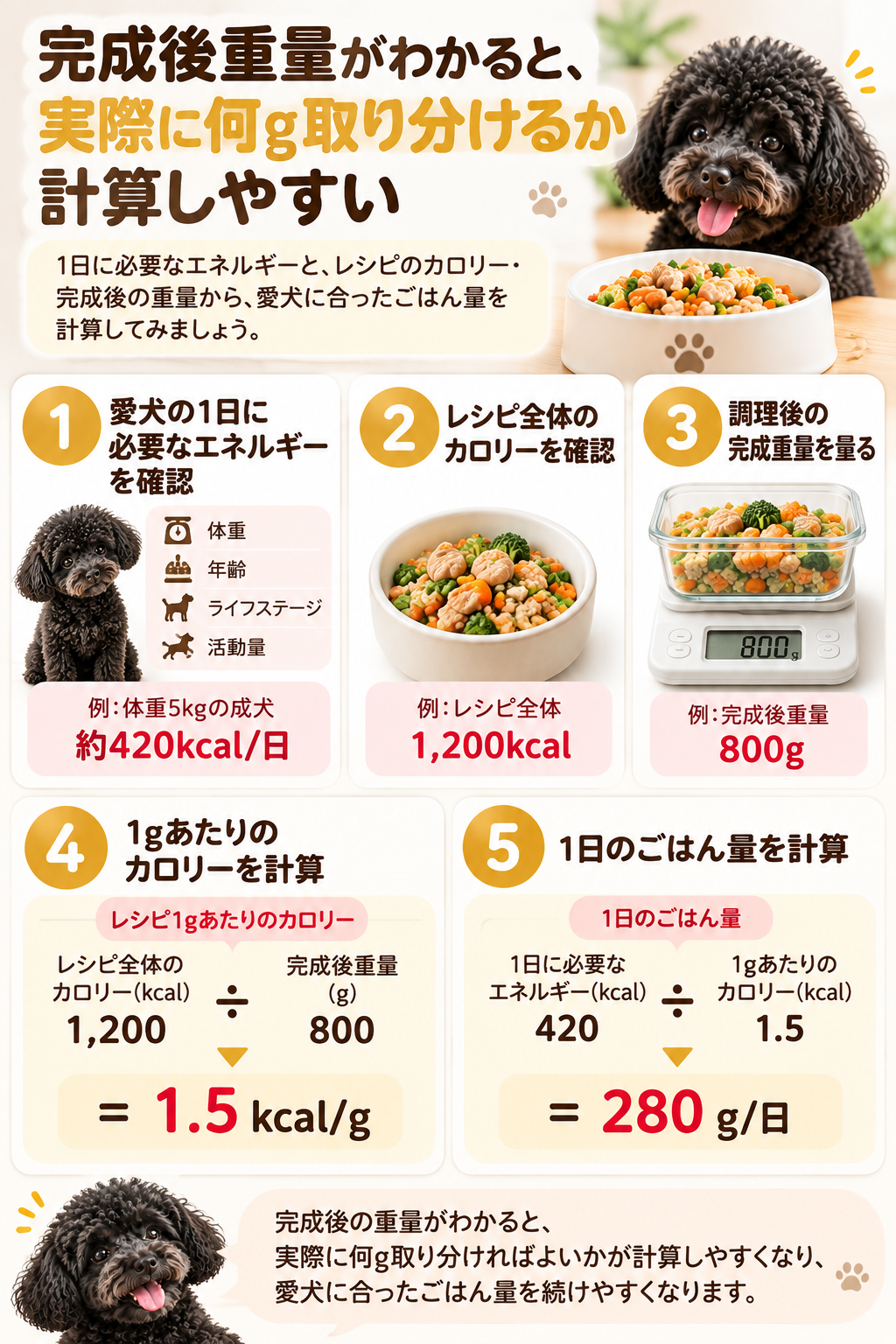 犬の手作りごはんの完成後重量とレシピ全体のカロリーから1gあたりのカロリーと1日量を計算する流れ