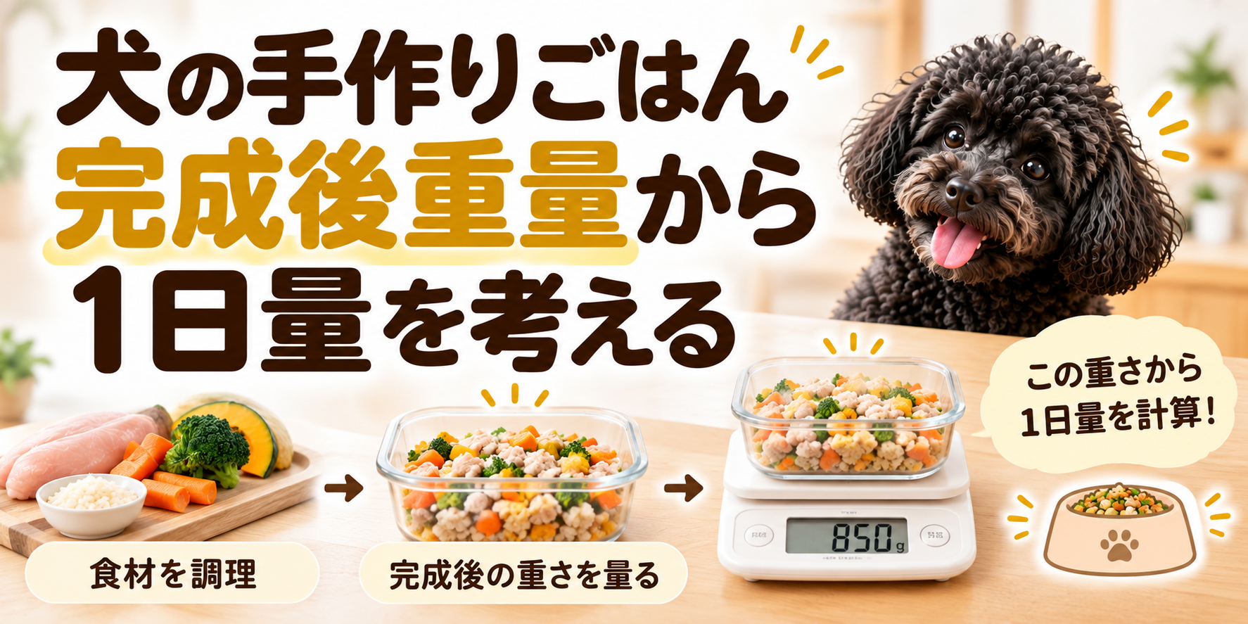 犬の手作りごはんの完成後重量から1日のごはん量を考える記事のアイキャッチ