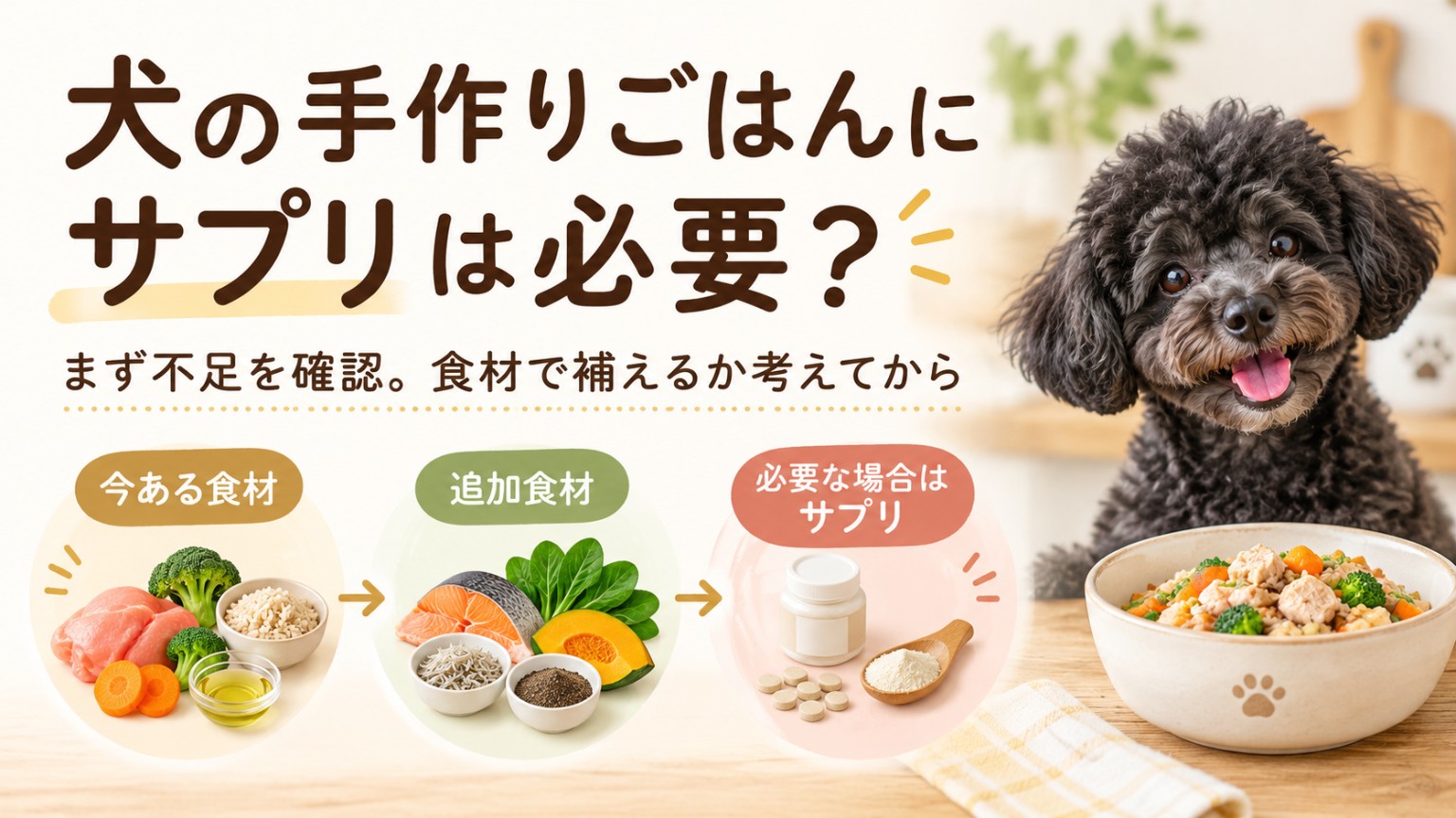 犬の手作りごはんでサプリメントが必要かを不足栄養素と食材調整から考える記事のアイキャッチ