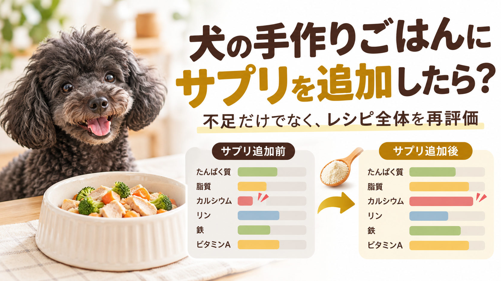 犬の手作りごはんにサプリを追加した後に不足だけでなくレシピ全体の栄養を再評価する記事のアイキャッチ