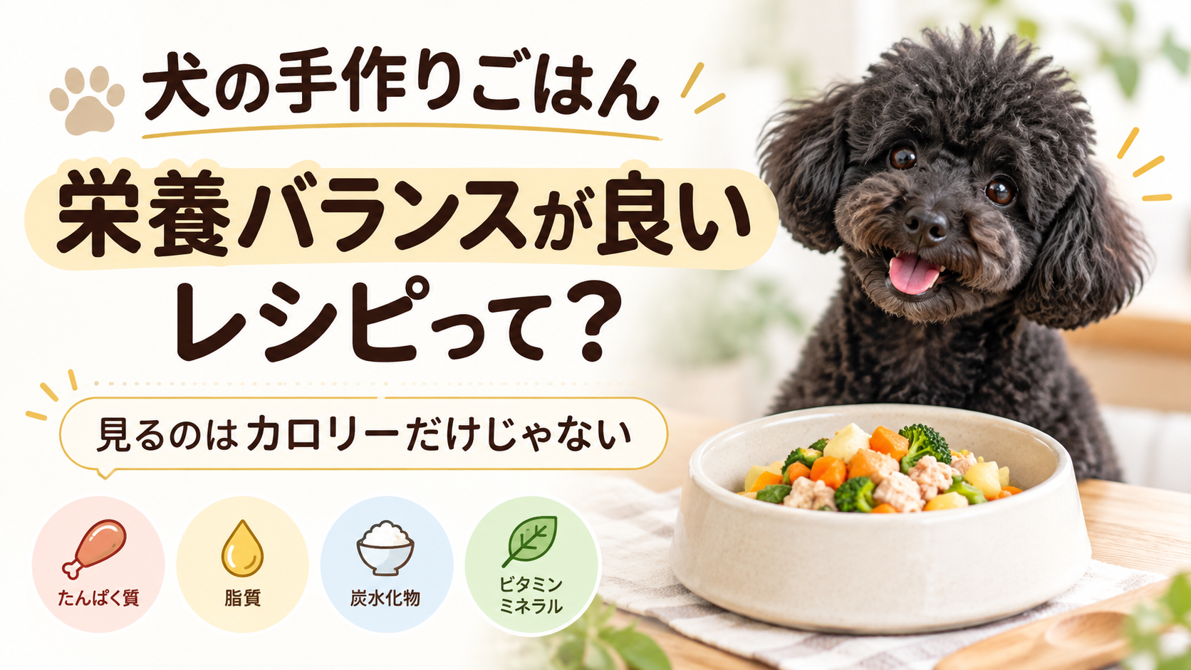 犬の手作りごはんで栄養バランスが良いレシピを判断するときの確認項目を解説する記事のアイキャッチ