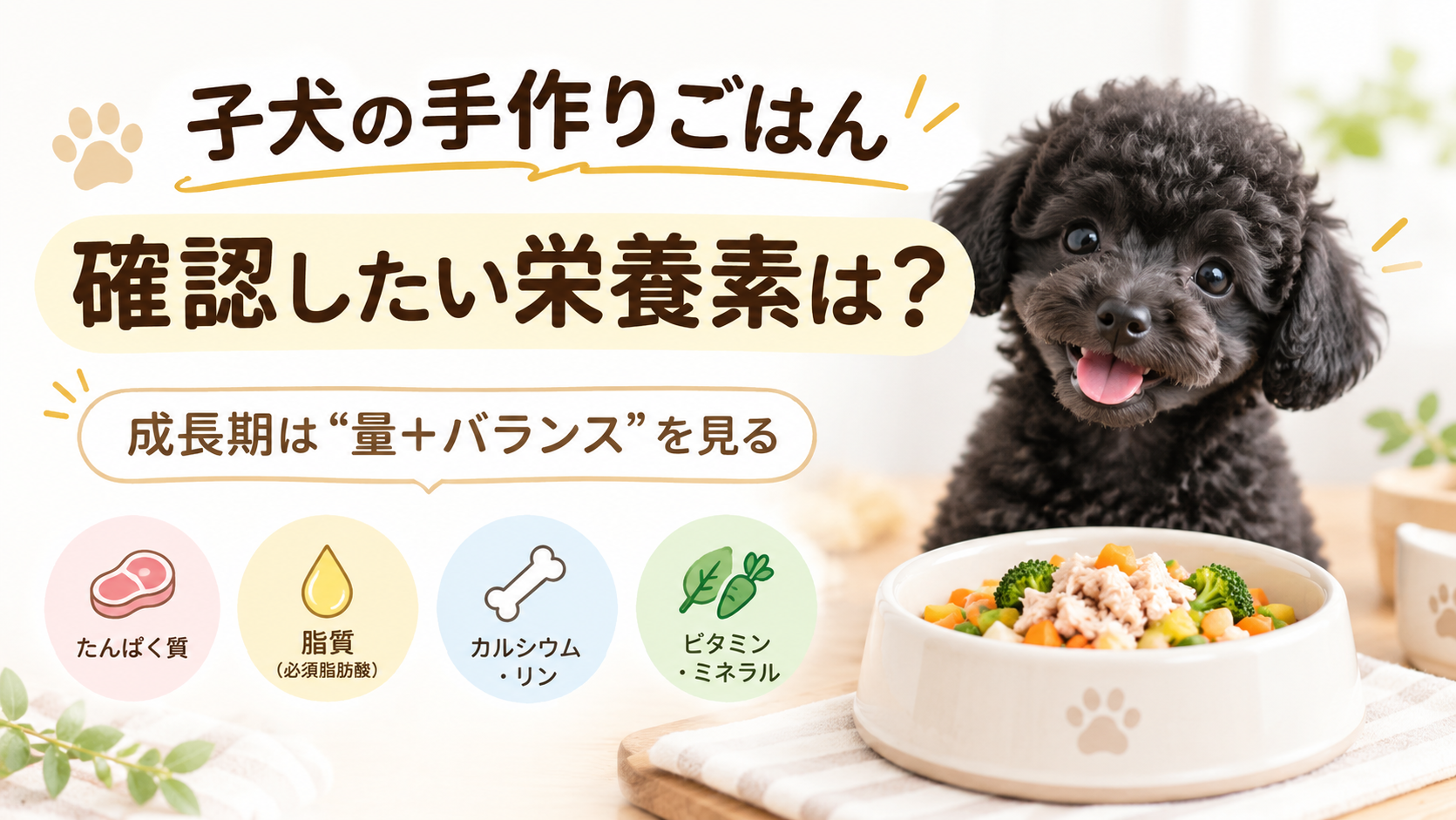 子犬の手作りごはんで成長期に確認したいたんぱく質、脂肪酸、カルシウム・リン、ビタミン・ミネラルを示すアイキャッチ