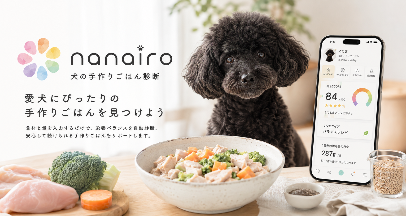 nanairo 犬の手作りごはん診断の紹介イメージ