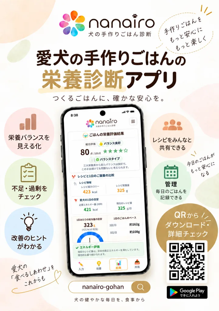 nanairoの栄養診断アプリと主な機能を紹介する販促チラシ