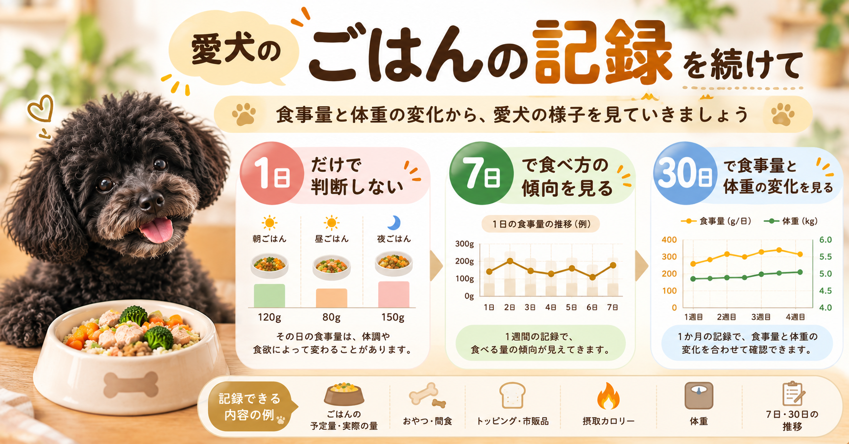 犬の食事量を1日、7日、30日の記録で比較し体重変化と合わせて確認する図