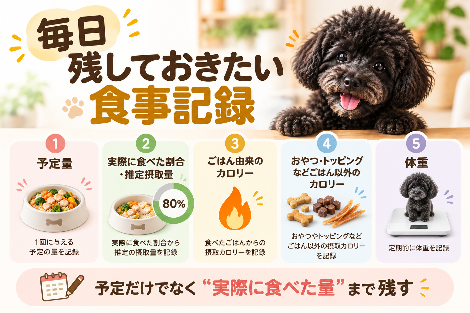 犬の食事記録で予定量、実際の摂取量、カロリー、おやつ、体重を残す5項目