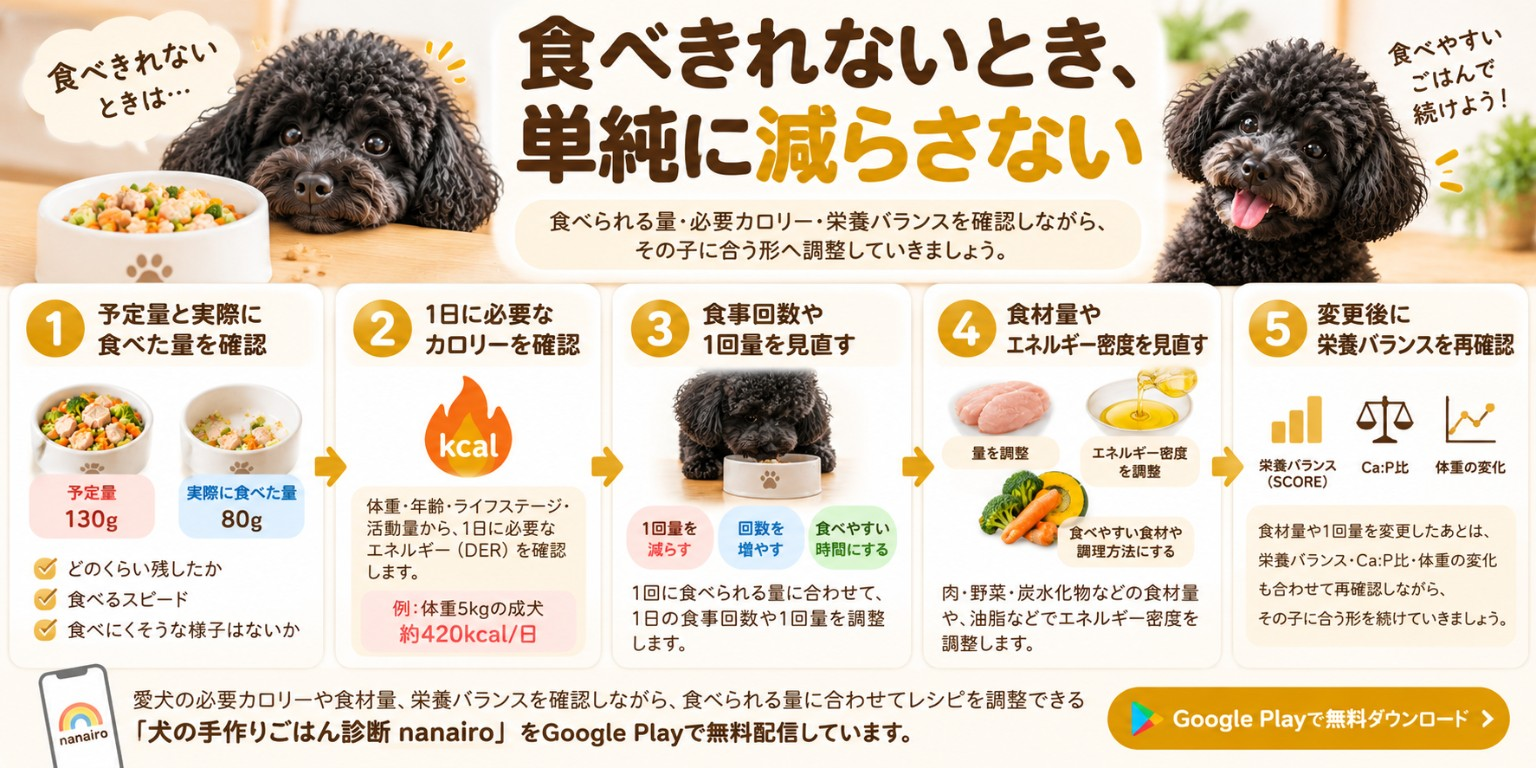 犬が手作りごはんを食べきれないときに実摂取量、必要カロリー、食事回数、食材量、栄養バランスを順に見直す図