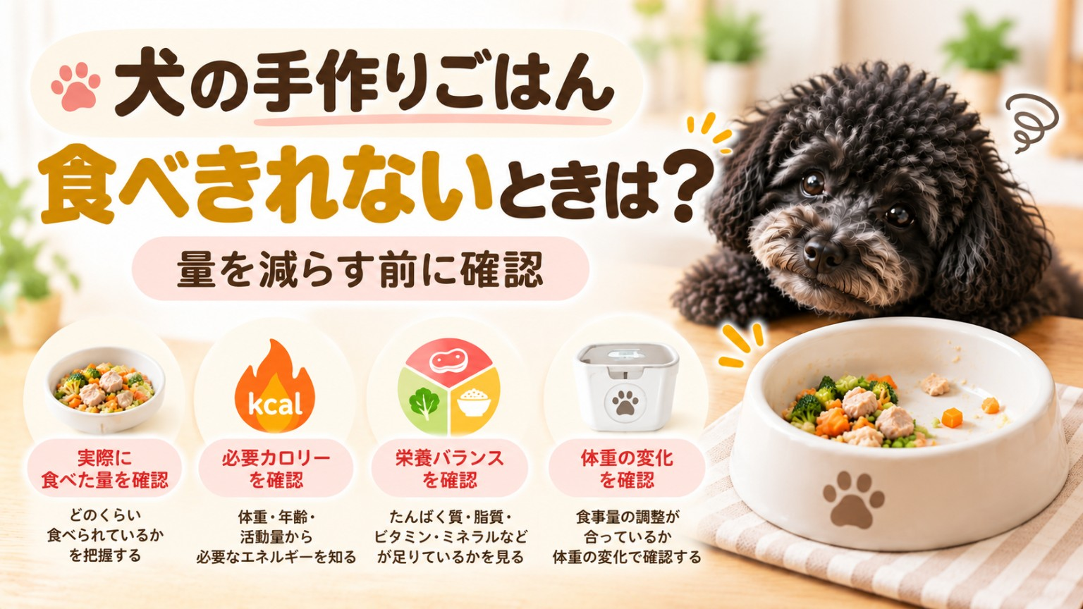 犬が手作りごはんを食べきれないときに量を減らす前に確認するポイントのアイキャッチ