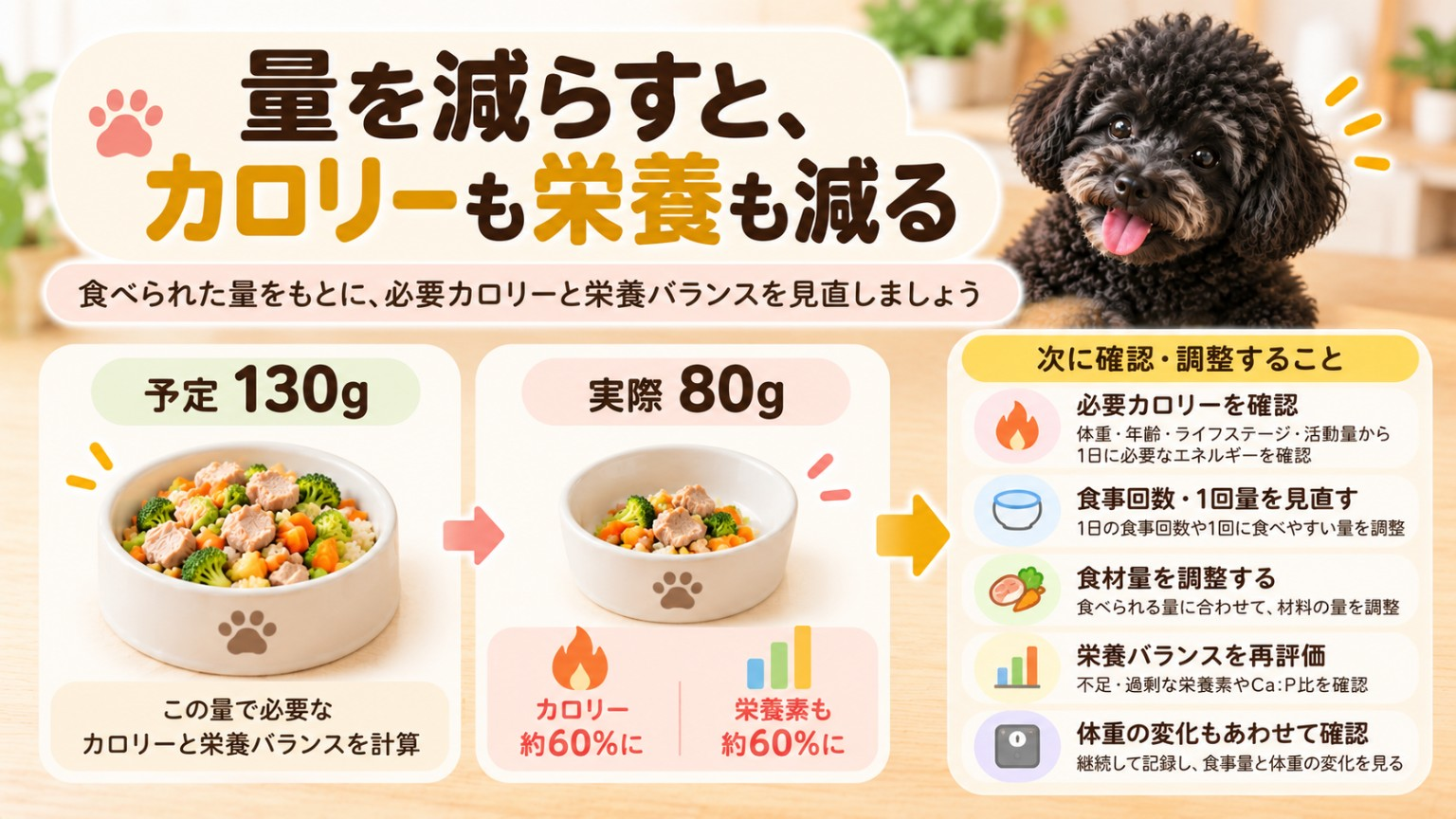 犬の手作りごはんの摂取量が予定130gから80gに減るとカロリーや栄養素の摂取量も減ることを示す図