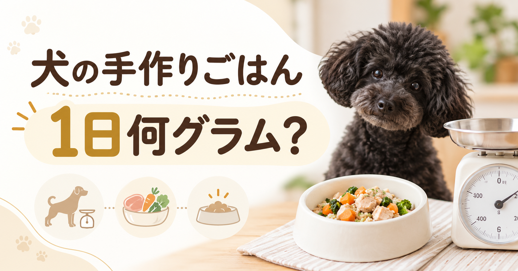 犬の手作りごはんは1日何グラムかを解説する記事のアイキャッチ