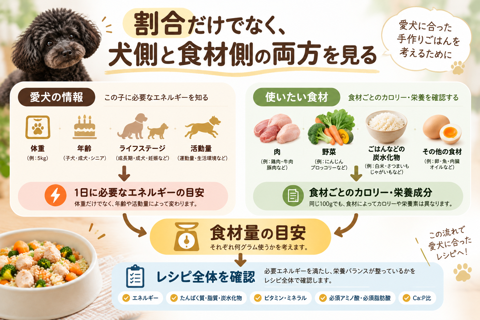 犬の情報と使いたい食材の両方から手作りごはんの食材量を考える流れ