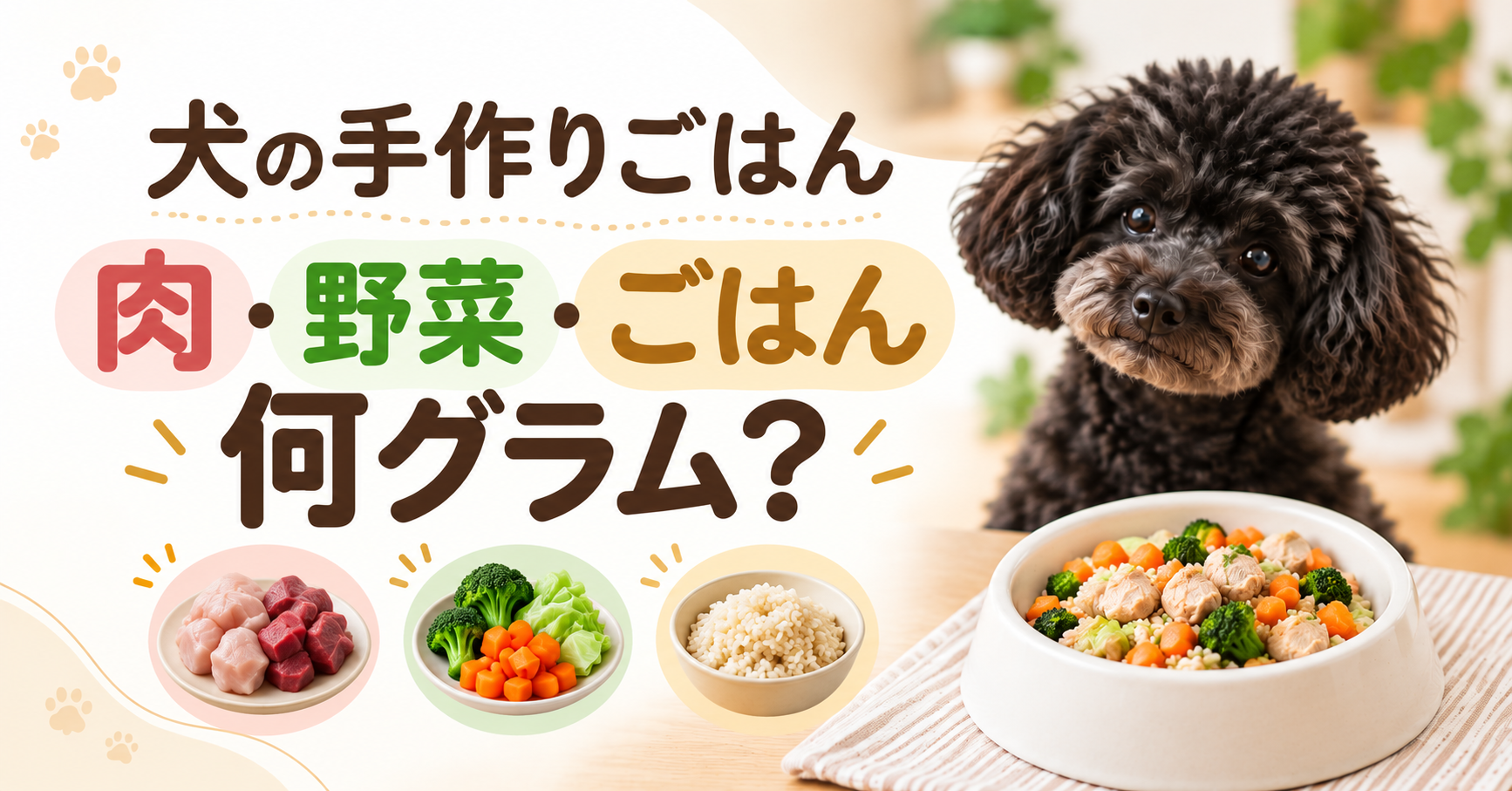 犬の手作りごはんで肉・野菜・ごはんを何グラム使うかを解説する記事のアイキャッチ
