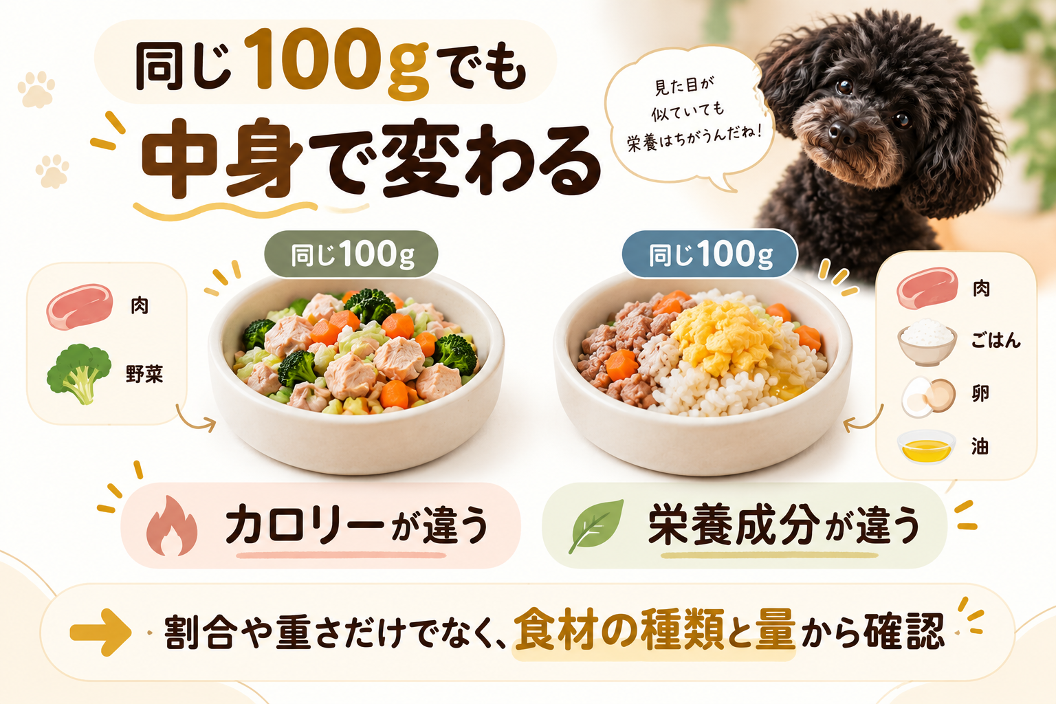 同じ100gの犬の手作りごはんでも食材の種類によってカロリーや栄養成分が変わることを示す図