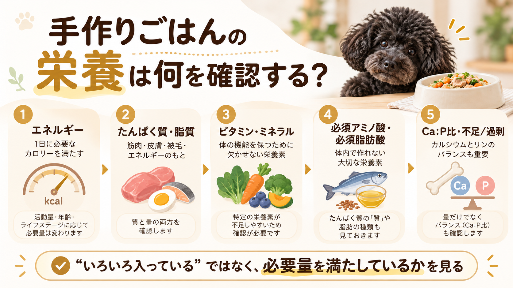 犬の手作りごはんで確認したいエネルギー、たんぱく質、ビタミン・ミネラル、必須アミノ酸・脂肪酸、Ca:P比の図