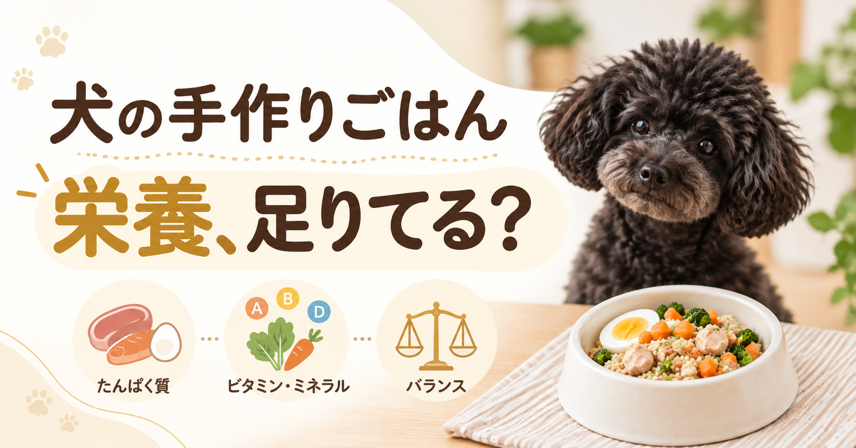 犬の手作りごはんの栄養が足りているかを確認する記事のアイキャッチ