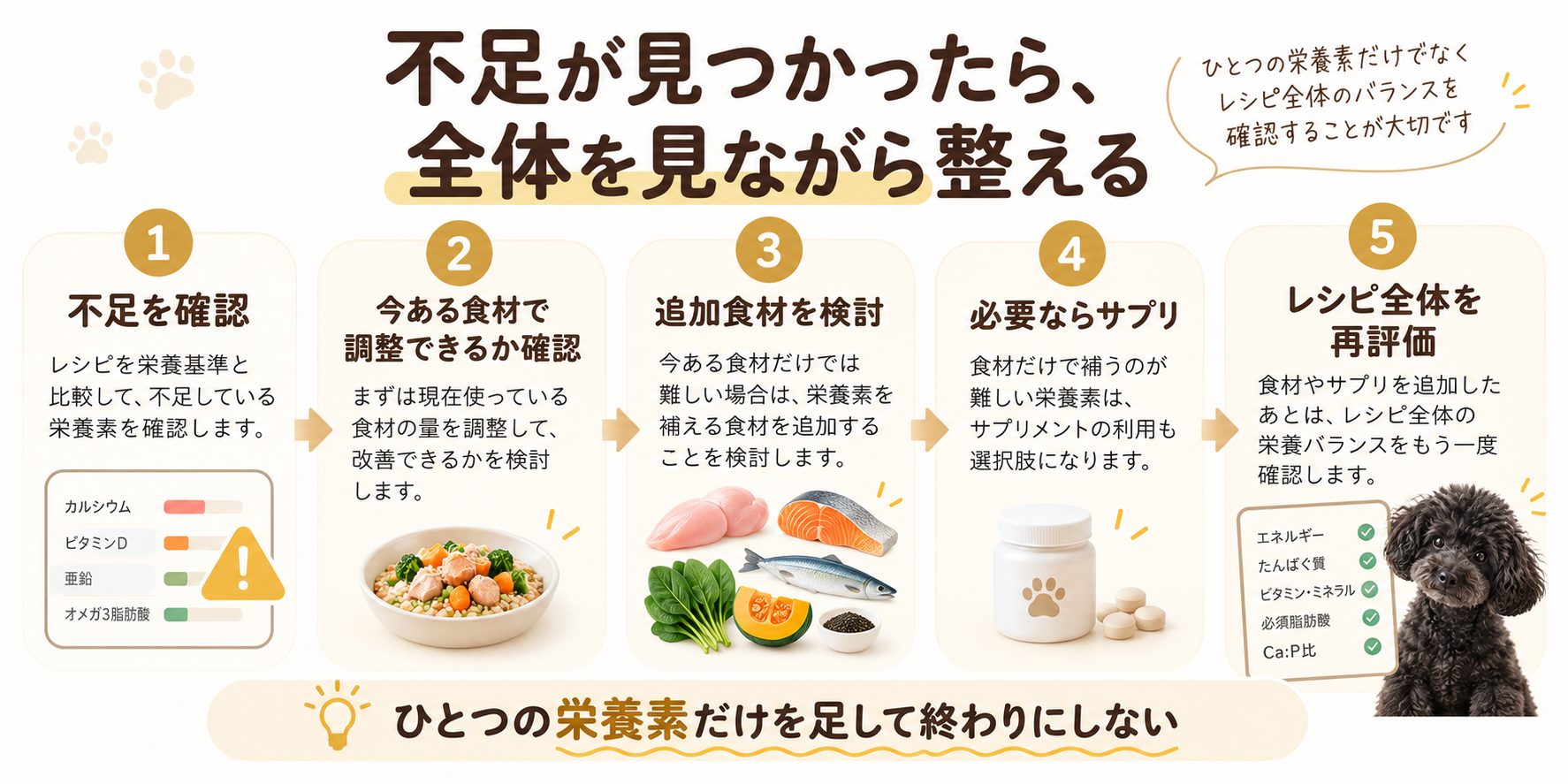 犬の手作りごはんで不足栄養素を確認し、食材やサプリで調整した後にレシピ全体を再評価する流れ