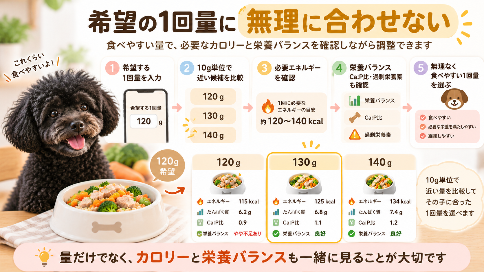 犬が食べやすい1回量に近い候補を10g単位で比較しカロリーと栄養バランスを確認する流れ