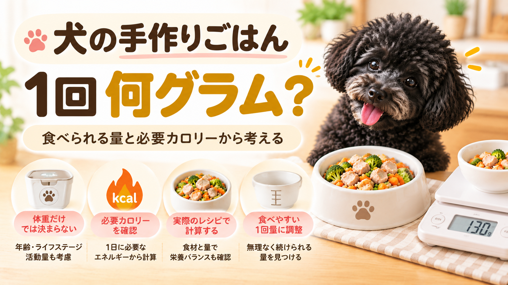 犬の手作りごはんは1回何グラムかを食べられる量と必要カロリーから考える記事のアイキャッチ