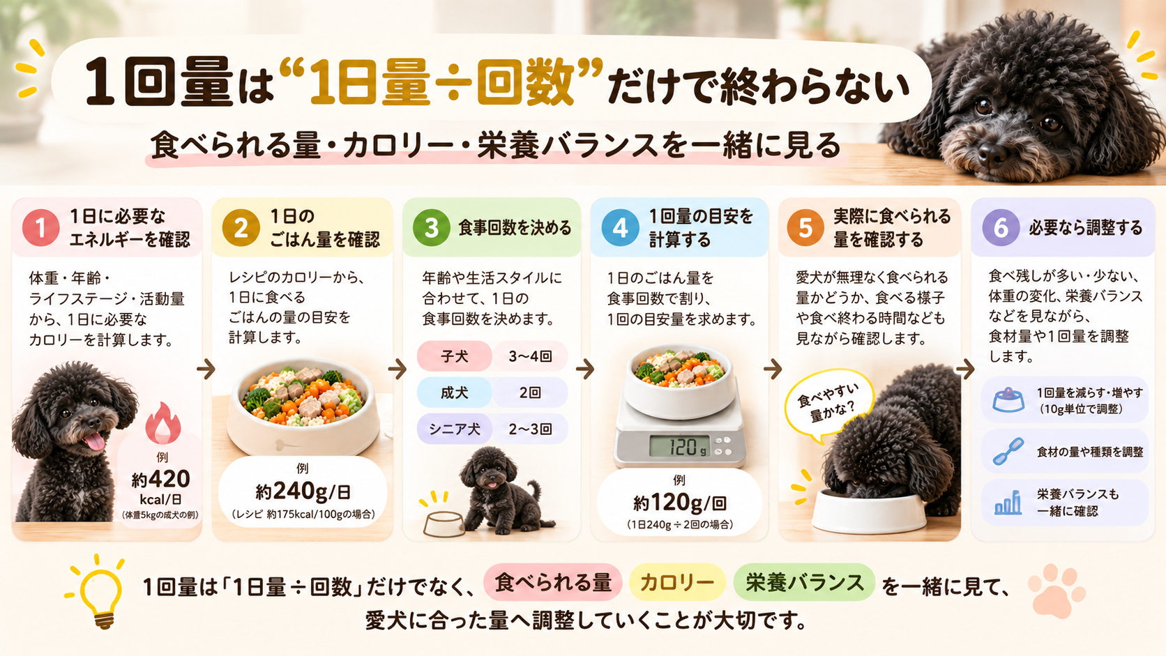 犬の手作りごはんの1回量を必要エネルギー、1日量、食事回数、食べられる量から決める流れ