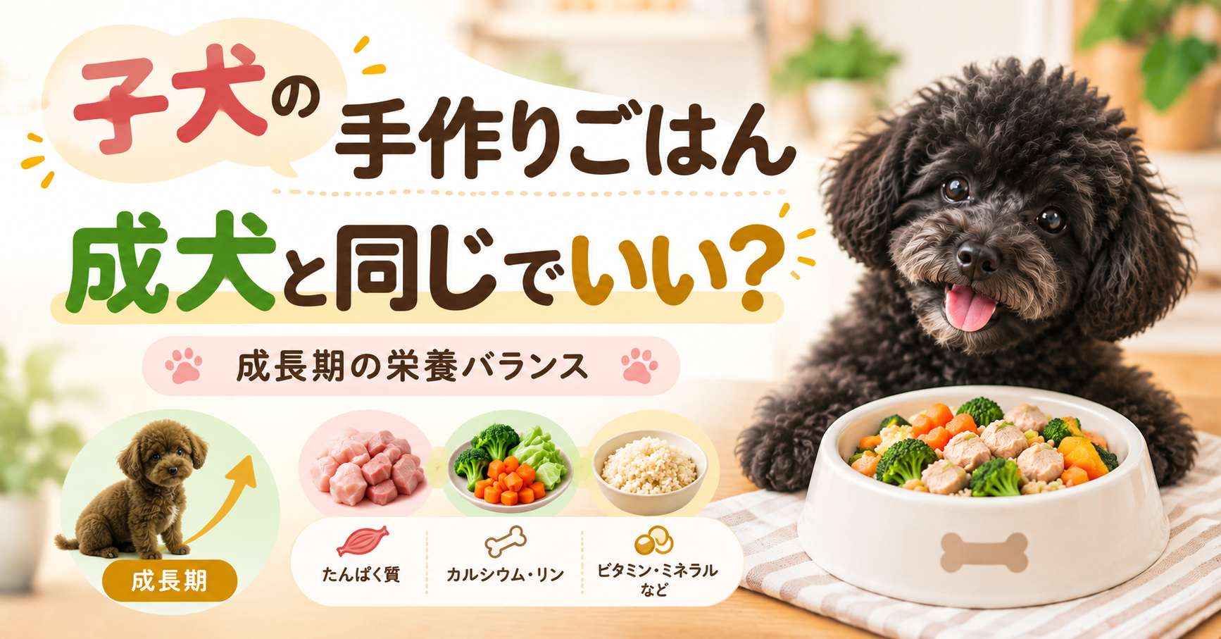 子犬の手作りごはんは成犬と同じ栄養バランスでよいかを解説する記事のアイキャッチ