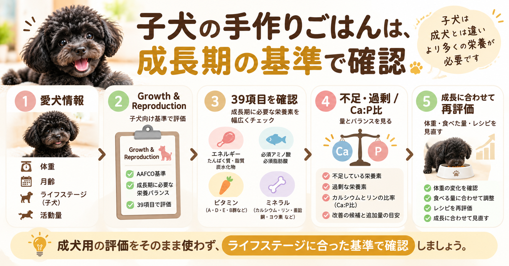 子犬の手作りごはんをGrowth & Reproduction基準で39項目、不足・過剰、Ca:P比まで確認し成長に合わせて再評価する流れ
