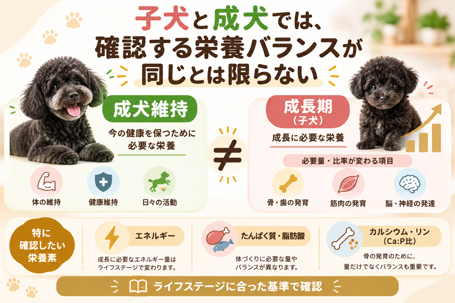 子犬と成犬では必要な栄養量や比率が異なり成長期の基準で確認することを示す図